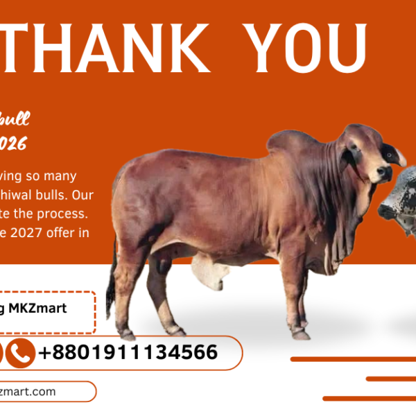 Pre-Book for Qurbani 2027 – Complete the Survey!